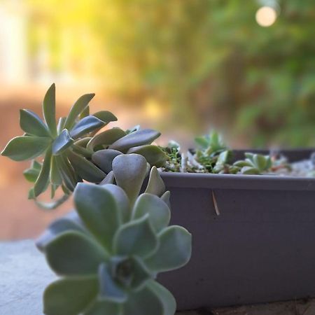 T2 De 45 M2 Sur Porticcio Avec Jardinアパートメント エクステリア 写真