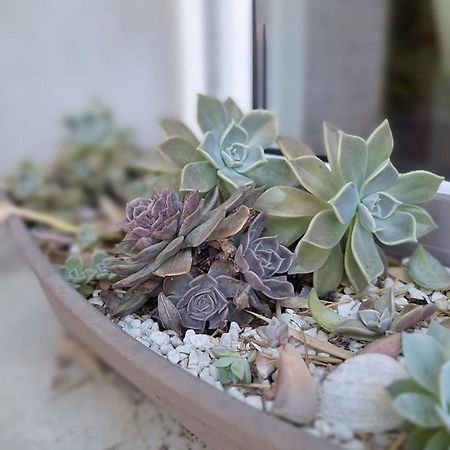 T2 De 45 M2 Sur Porticcio Avec Jardinアパートメント エクステリア 写真